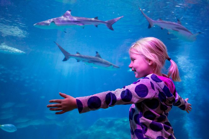 SEA LIFE Oberhausen Admission Ticket - Common questions
