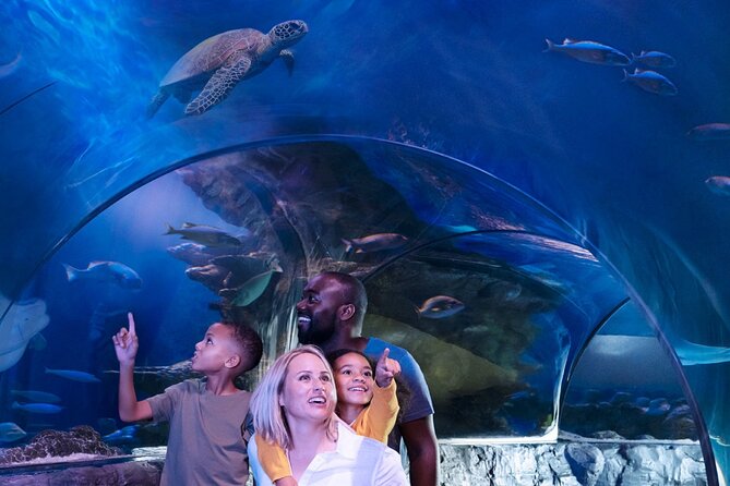 SEA LIFE Orlando Aquarium - Activities and Offerings