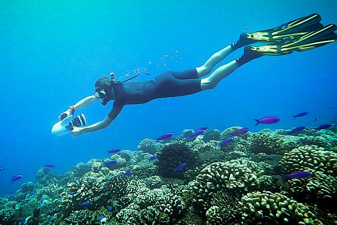 Sea Scooter Snorkel Tour - Lagoon Discovery : Wrecks, Coral Gardens and Tropical Fishies - Cancellation Policy Details