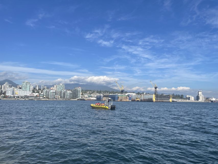 Sea Vancouver: City and Nature Sightseeing RIB Tour - Description of the RIB Tour