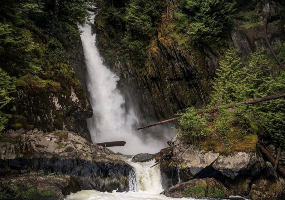 Sea Vancouver: City and Waterfall Sightseeing RIB Tour - Customer Review Highlights