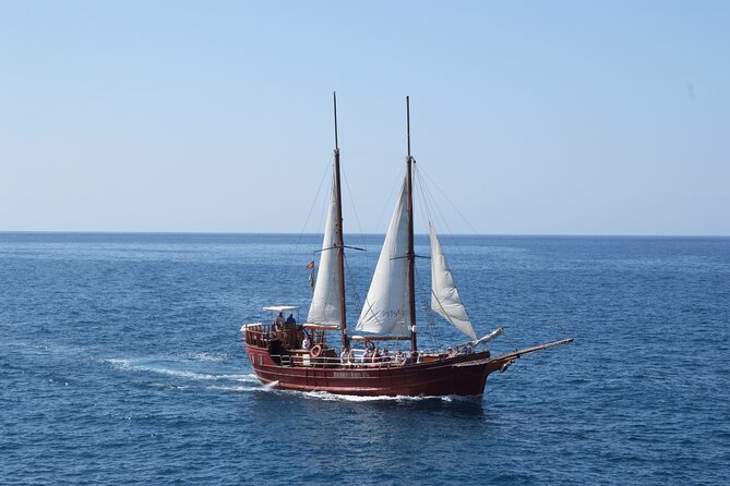 Sealife Dolphin & Whale Watching Aboard Portuguese Schooner - Meeting Point Information