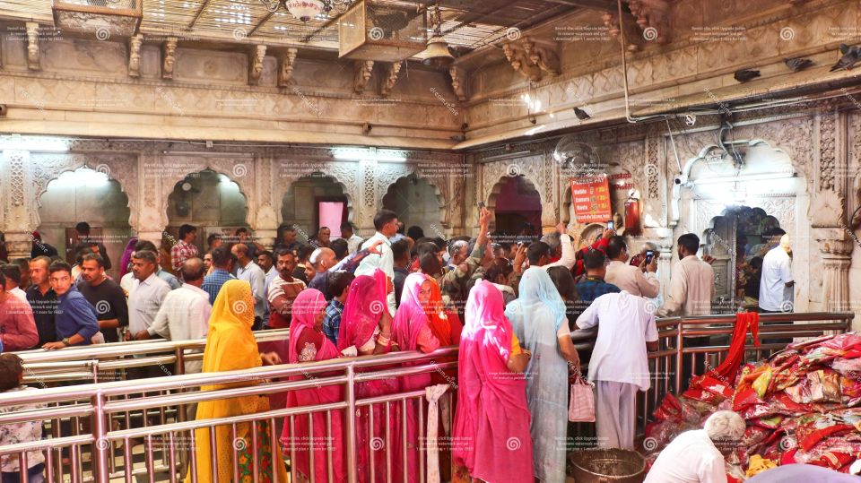 See Camel Centre, Rat Temple From Jodhpur With Bikaner Drop - Title