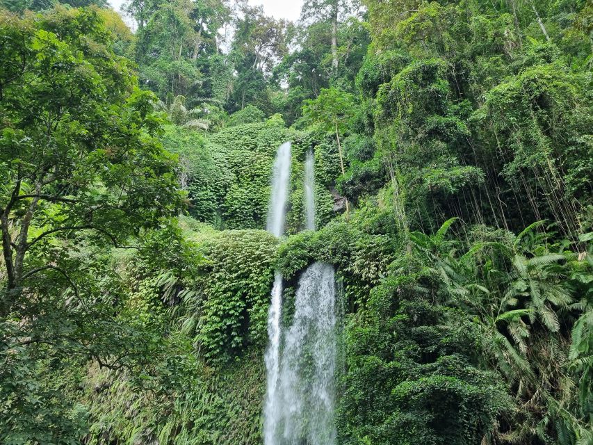 See The Stunning View Of Selong Hill and Tiu Kelep Waterfall - Tour Experience and Traveler Reviews