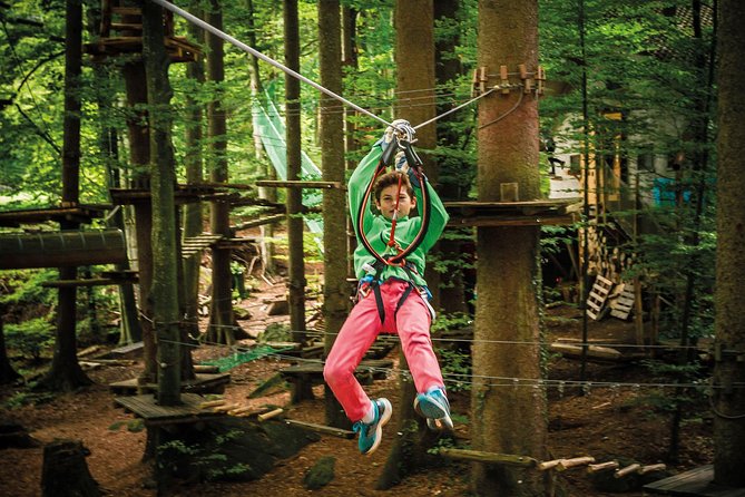Seilpark High-Ropes Adventure Park Admission in Interlaken (Mar ) - What to Expect