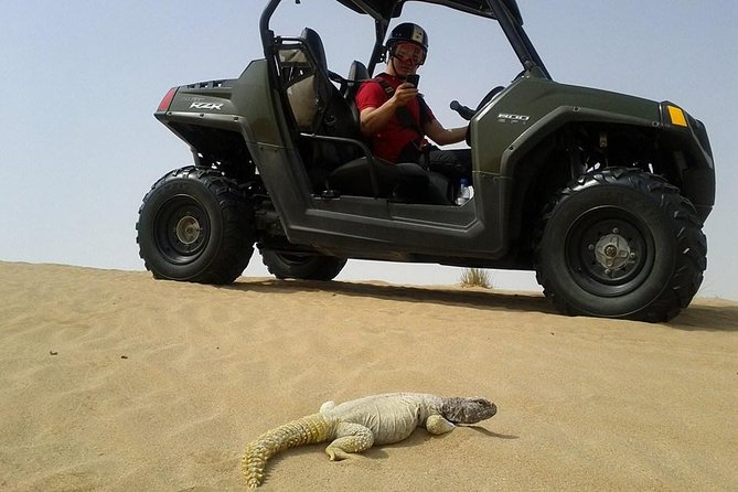 Self-Drive Desert Buggy or Quad Bike Experience With Transport From Dubai - Common questions