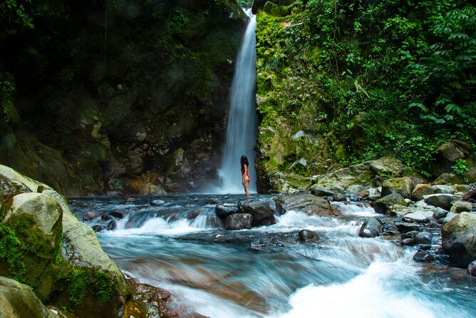 Sensoria: Luxury Rainforest Land of Senses Walking and Thermals Tour - Traveler Photo Opportunities