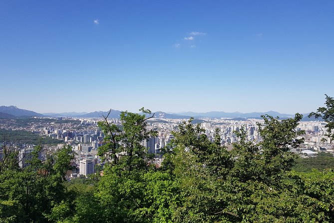 Seoul Morning Tour: Seoul Tower, Namsan Hanok Village, The War Memorial of Korea - Useful Viator Resources