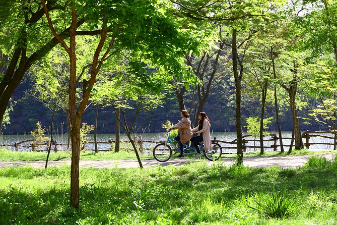 Seoul to Nami Island Round Trip Shuttle Bus Service - Cancellation Policy