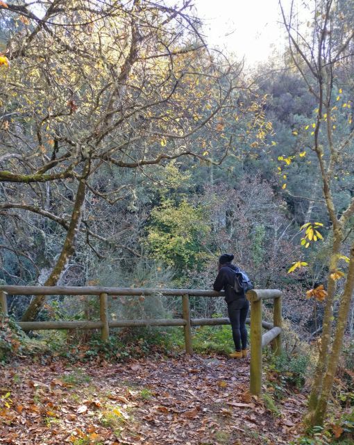 Serra Da Estrela: Valleys, Waterfalls, and Mysticism-Private Tour - Additional Information and Tour Insights