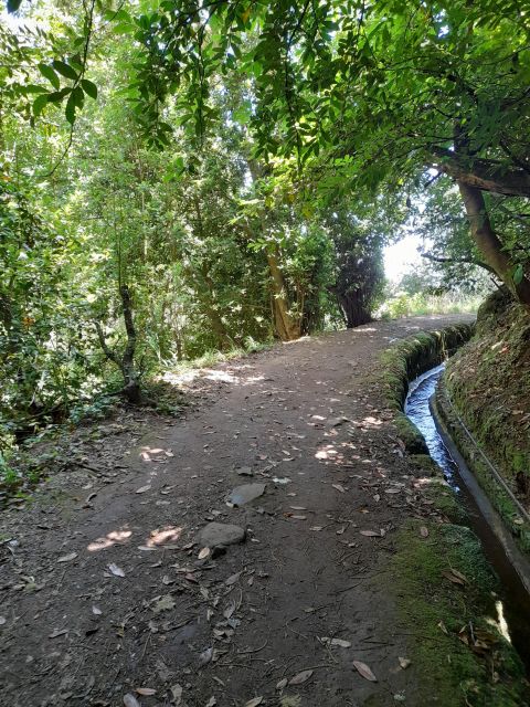 Serra Do Faial Levada, Camacha - Location and Drop-Off