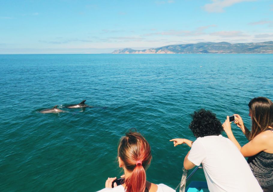 Setúbal: Dolphin Watching Tour - Common questions