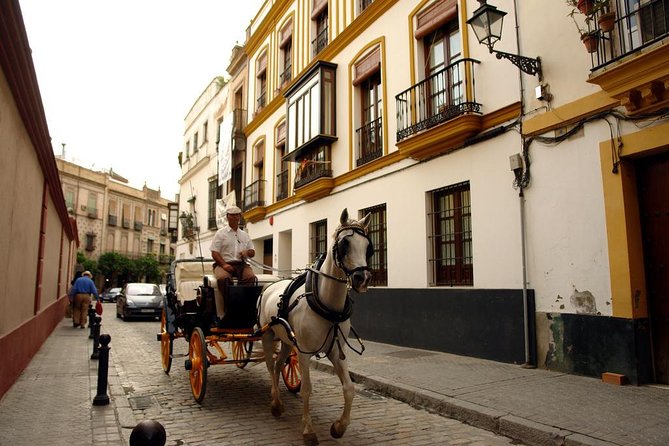 Seville Day Trip From the Algarve - Logistics and Pickup