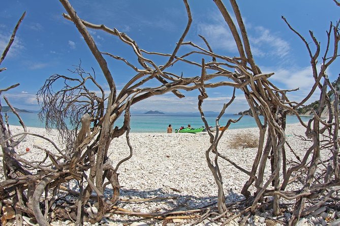 Shared Day Trip From Kefalonia Around Ithaca Island - Last Words