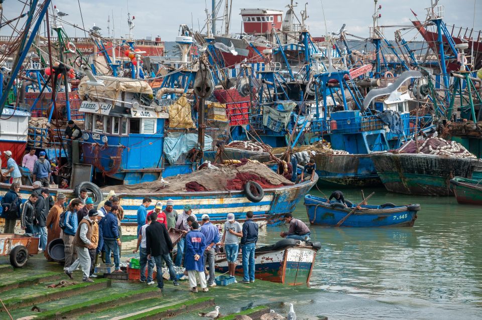 Shared Day Trip To Essaouira From Marrakech Full-Day Trips - Full Description