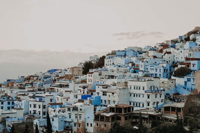 Shared Group Chefchaouen Day Trip From Fez - Reviews and Ratings