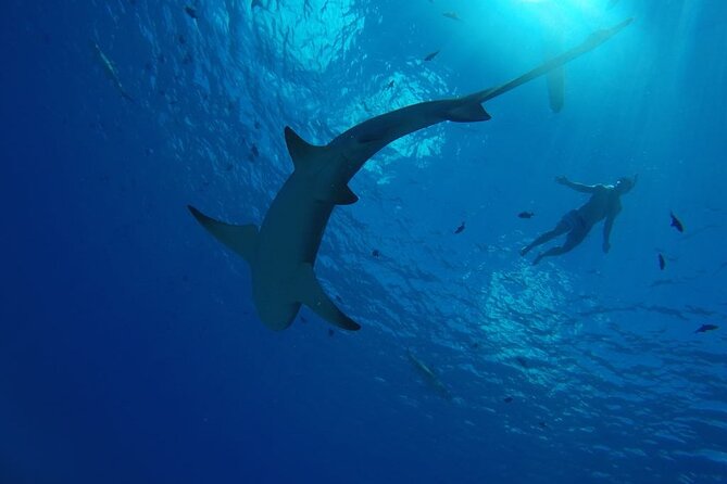 SHARED HALF DAY LAGOON TOUR - Bora Bora Cultural Lagoon Tour - Visual Insights