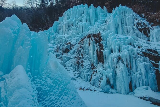 Shared Korean Winter Tour at Nami Island With Professional Guide - Weather Conditions