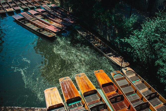 Shared Oxford University Punting Tour - Guide and Group Size