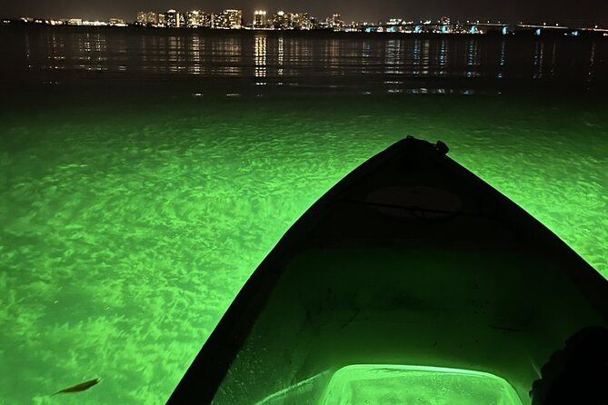 Sharkeys LED Illuminated Night & Sunset Tour on Glass Bottom Kayaks in Sarasota - Pricing and Booking Info