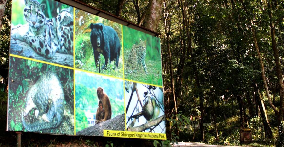 Shivapuri-Nagarjun Hiking - Park Wildlife