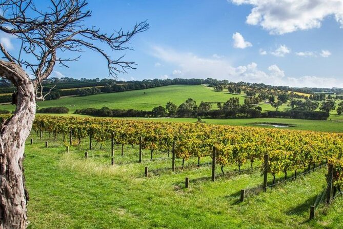 Shore Excursion Mornington Peninsula, Kangaroos, Lunch & Wine - Cancellation Policy and Refunds