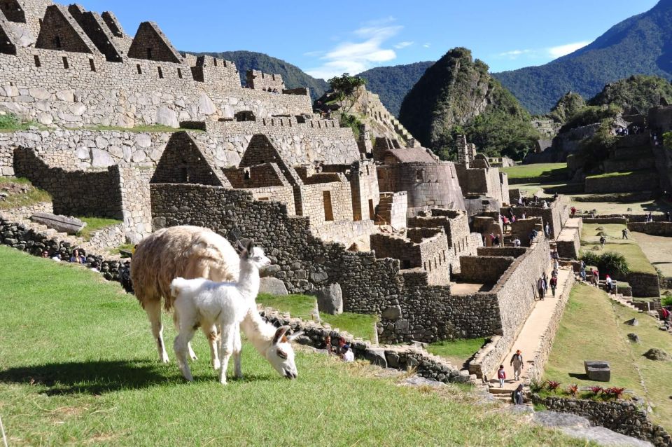 Short Inca Trail to Machu Picchu - Scenic Experience