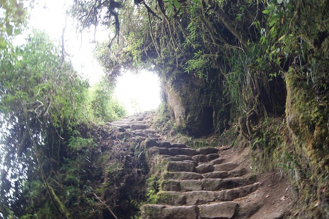 Short Inca Trail to Machupicchu 2days - 1nigth - Customer Reviews