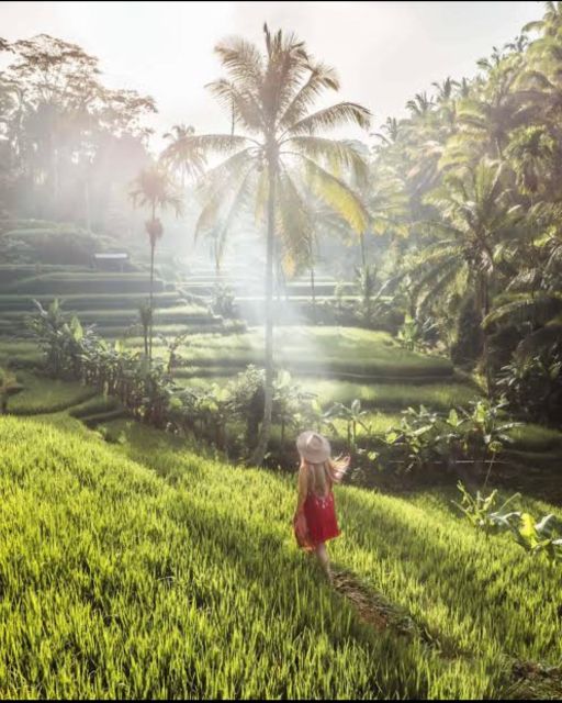 Sightseeing Around Ubud Palace, Rice Terrace and Waterfall - Tegalalang Rice Terrace Experience