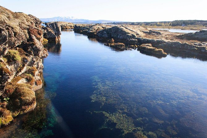 Silfra Drysuit Snorkeling Tour With Free Photos - From Reykjavik - Guide Expertise and Participant Feedback