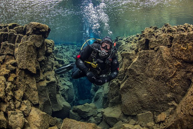 Silfra Fissure Freshwater Scuba Diving Tour From Reykjavik - Last Words