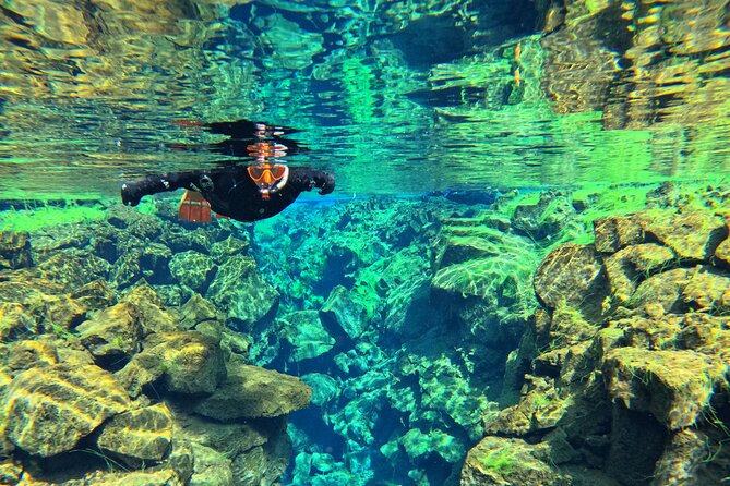 Silfra Snorkeling- Transfer From Reykjavík Included - Pricing Information