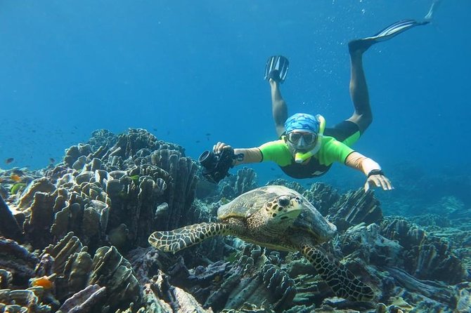 Similan Islands Day Trip by Speedboat From Phuket - Questions and Support