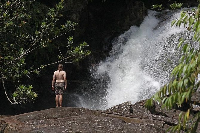 Sinharaja Forest Reserve (Sinharaja Rain Forest) Private Tour  - Galle - Accessibility and Fitness Requirements