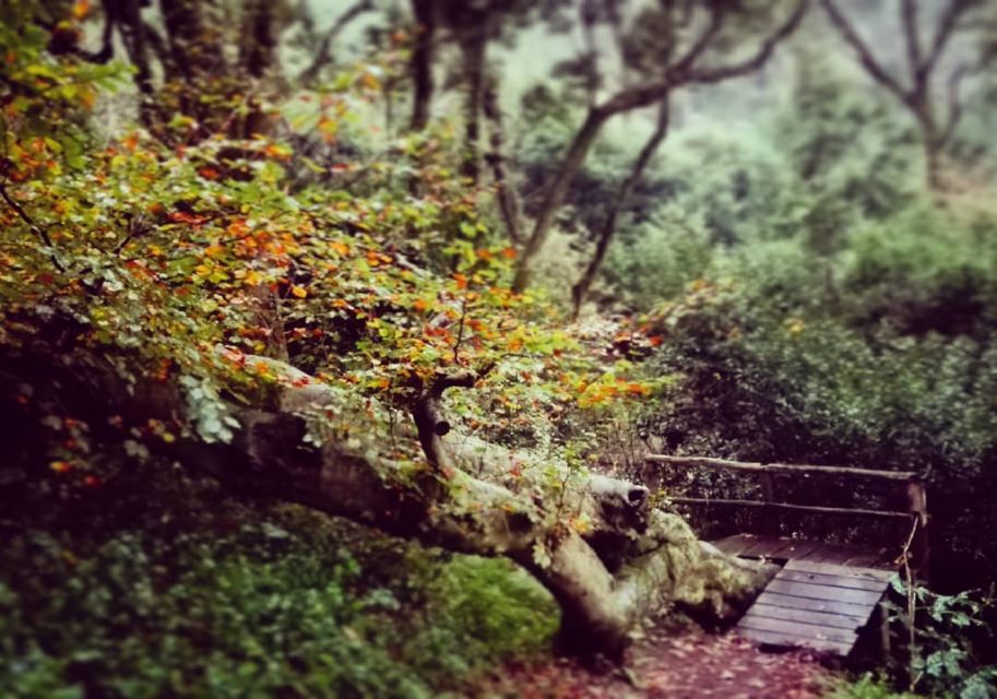 Sintra: Kingdom of Love Private Walking Tour With Historian - Romantic Tales Revealed