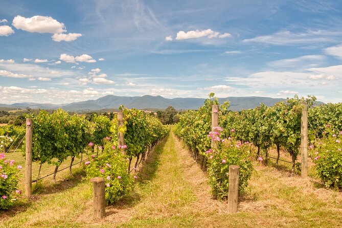 Sip and Savor: Private Yarra Valley Wine Tour From Melbourne - Booking Process
