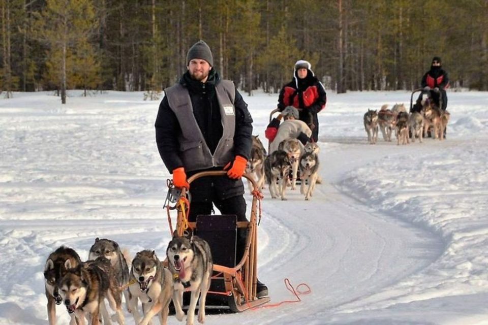 Sirkka: Husky Sled Ride in Levi - Activity Highlights