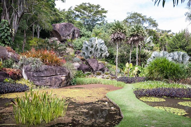 Sitio Roberto Burle Marx Guided Tour Ticket and Transfer - Cancellation Policy