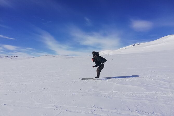 Ski Touring and Log Cabin Between Sweden and Norway - Important Policies