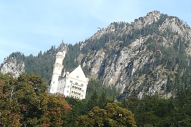 Skip-The-Line Neuschwanstein Castle Tour From Munich - Customer Reviews and Feedback