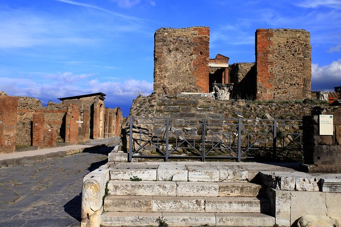 Skip the Line Pompeii Tour for Kids and Families W Special Guide - Family-Friendly Tour Inclusions