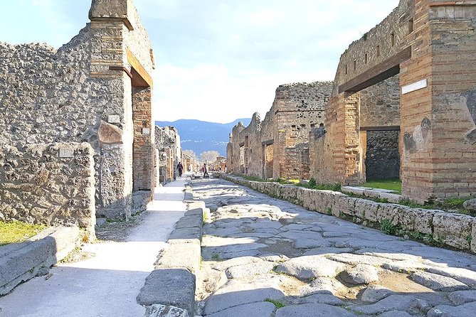 Skip-The-Line Pompeii & Volcano Vesuvius Day Tour W Hotel or Port Pickup - Vesuvius Exploration & Geology Expert