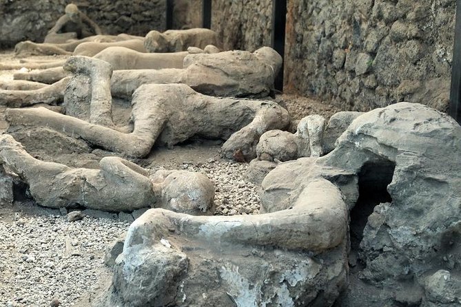 Skip the Line Private Pompeii Guided Tour - Ratings and Reviews
