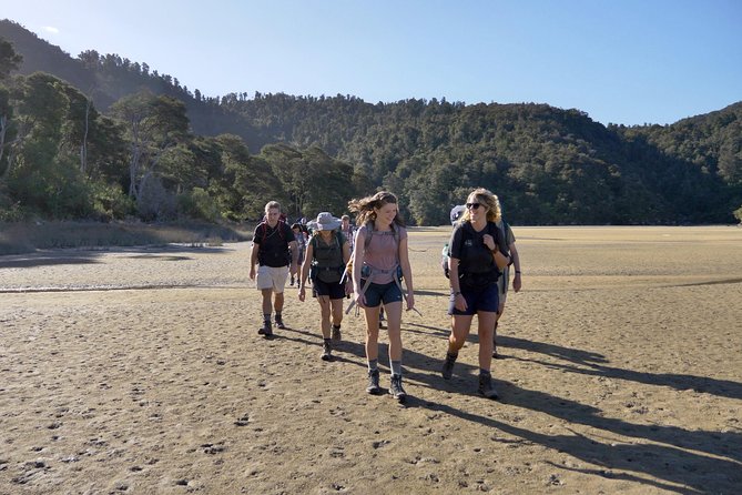 Small-Group 23-Day Hiking Tour: North and South Islands  - Auckland - Reviews and Ratings