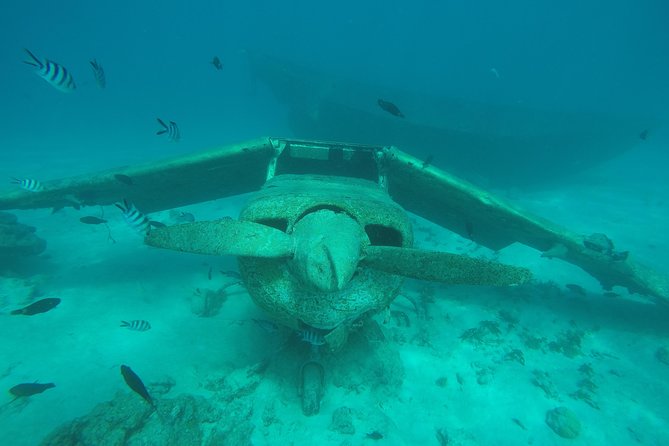 Small-Group 90-Minute Snorkeling Tour of Wrecks, Tahiti - Health and Safety