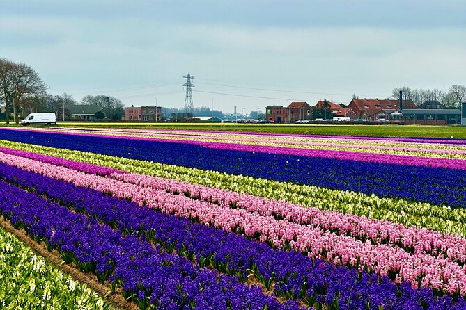 Small Group Bike Tour to Tulips Field in Lisse - Tour Itinerary