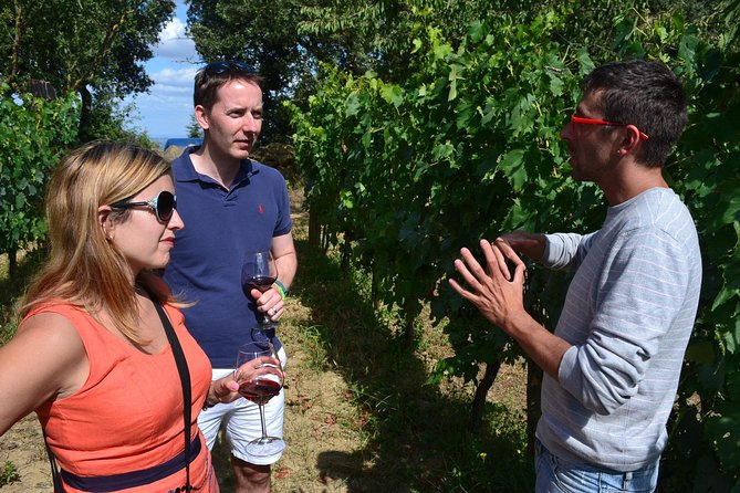 Small-Group Brunello Wine Tour of Montalcino From Florence - Pricing and Booking Details