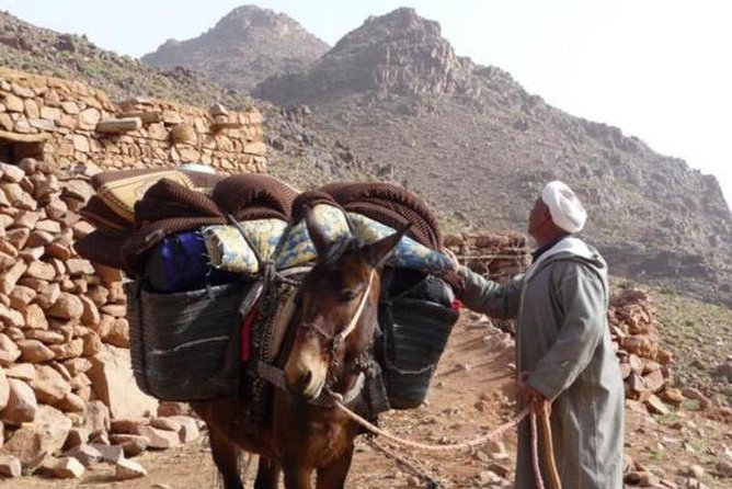 Small Group Day Tour to Ourika Valley From Marrakech - Booking Information