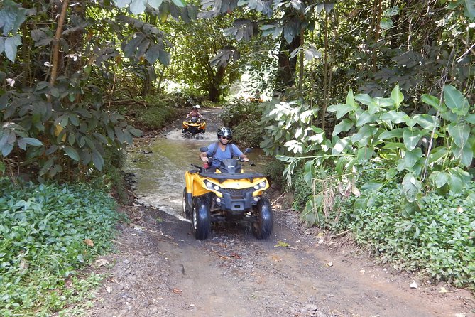 Small-Group Full-Day Jet Ski and Quad Bike Adventure, Moorea - Tour Highlights and Testimonials
