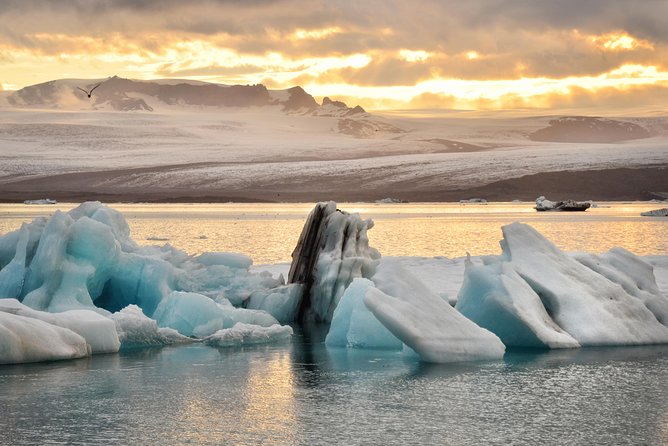 Small-Group Glacier Lagoon (Jokulsarlon) Day Trip From Reykjavík - Tour Company Feedback